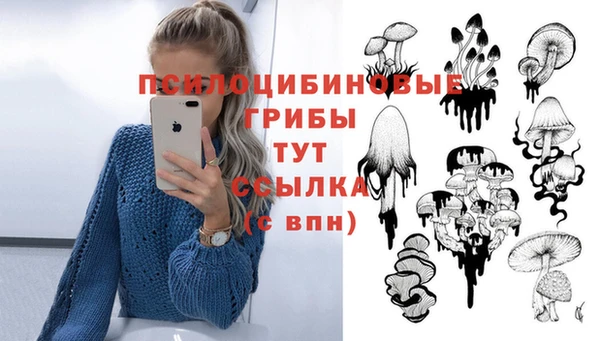 героин Белокуриха